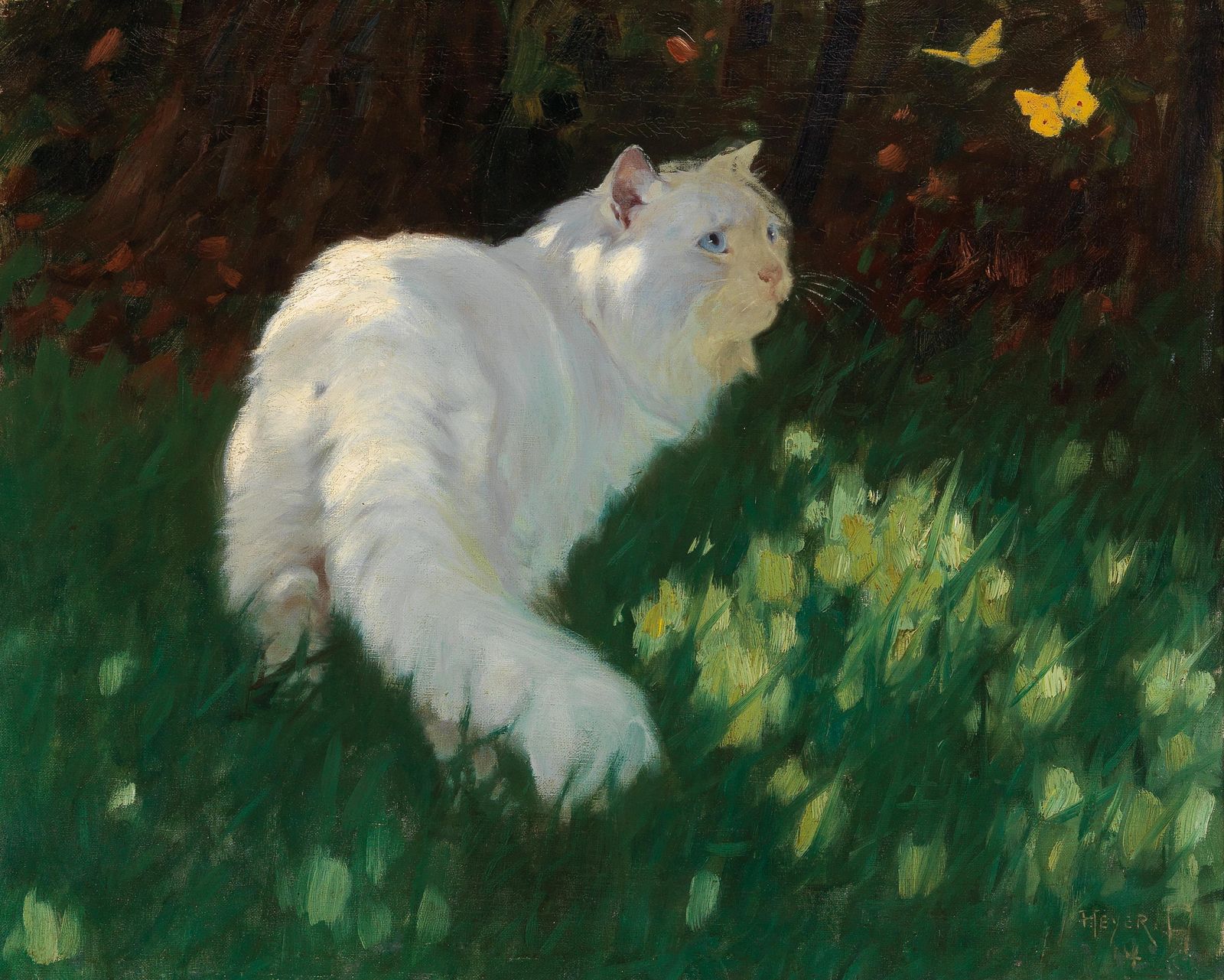 White Cat and Butterflies